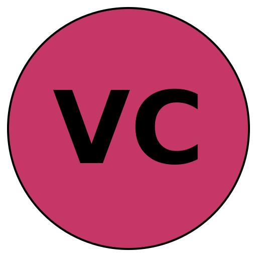 Visionary Careers